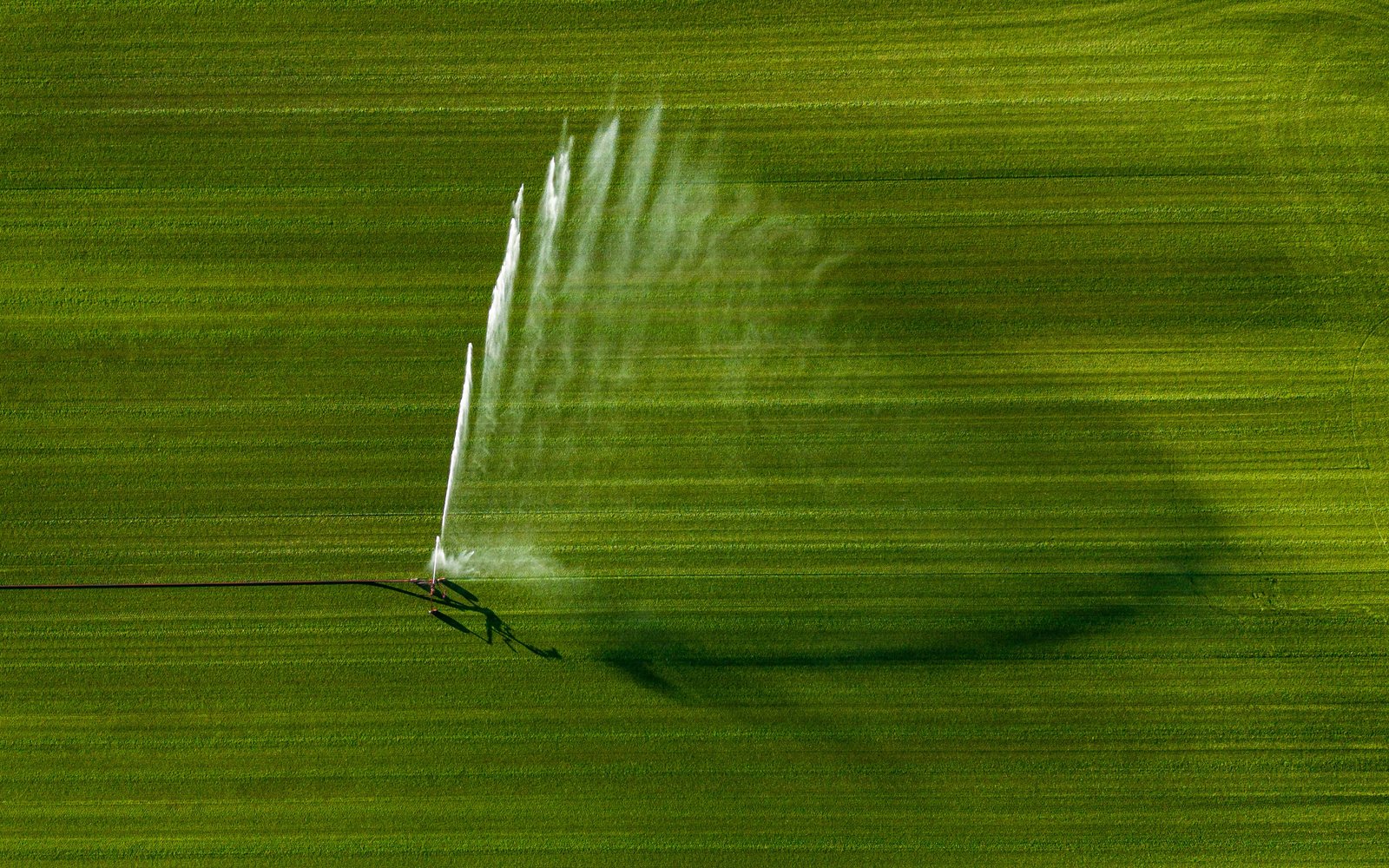 Irrigation system watering a large green agricultural field